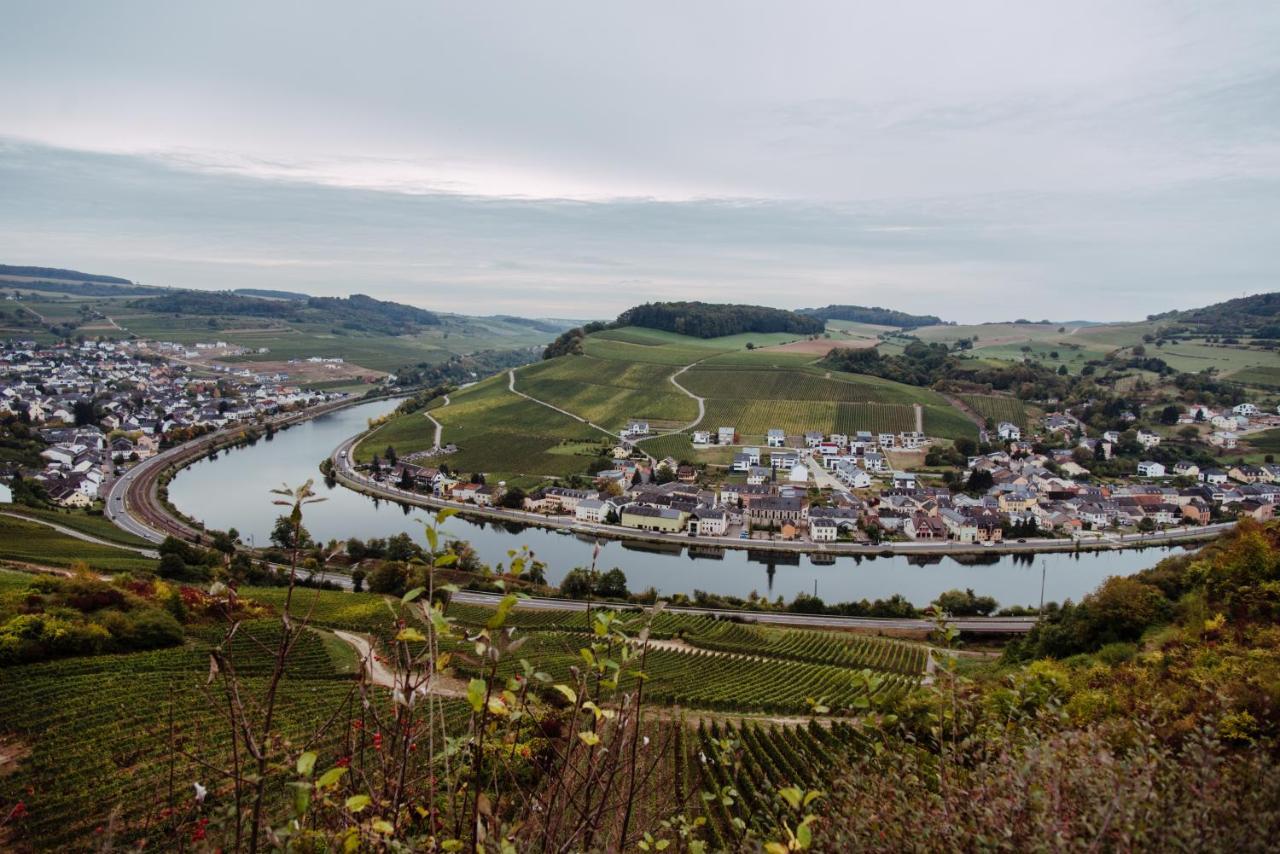 Weingut Und Gaestehaus Zilliken Nittel Eksteriør bilde